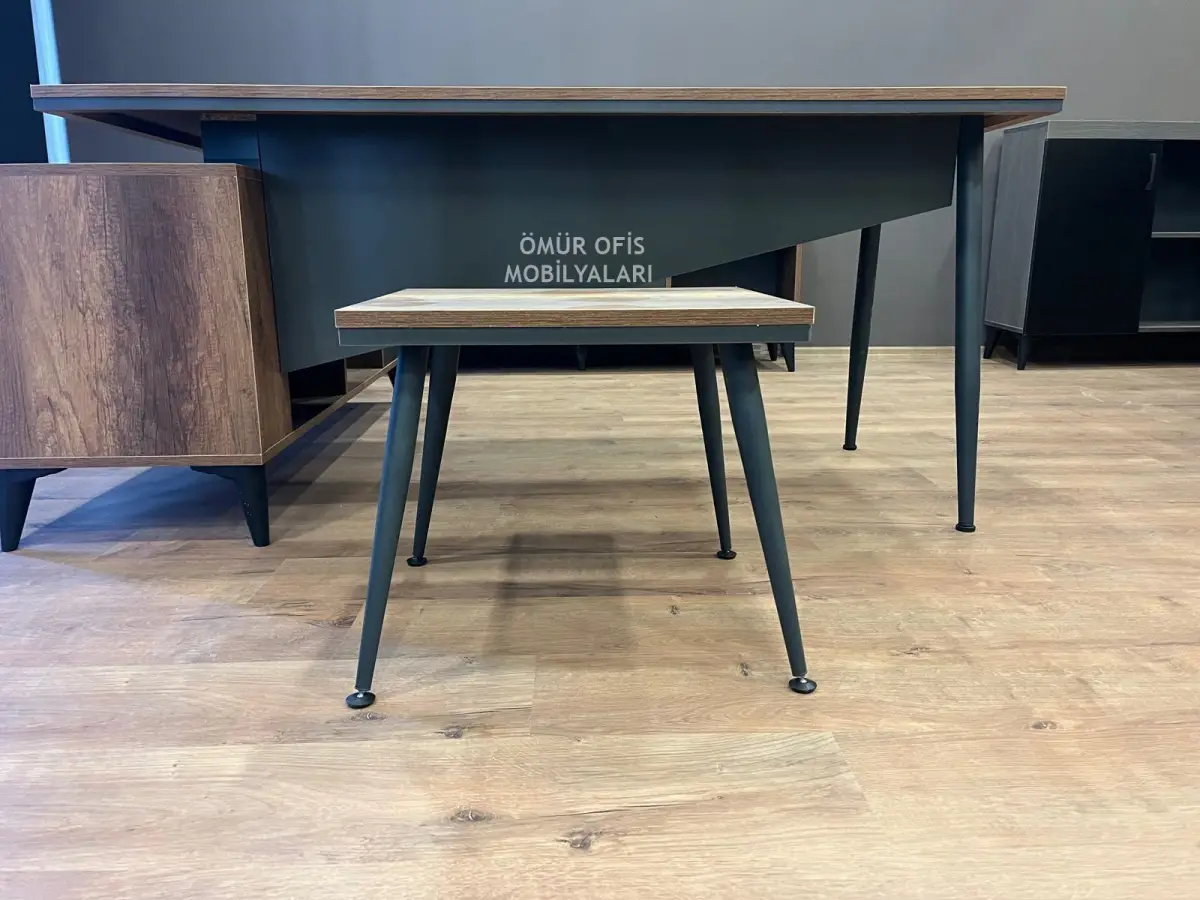 Duru Makam Takımı + Petek Deri Koltuk Takımı