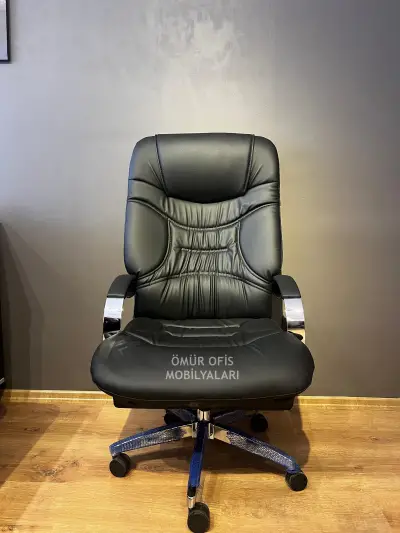 Senatör Makam Koltuğu