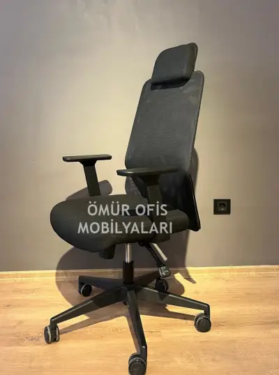 Zeno Başlıklı Makam Koltuğu