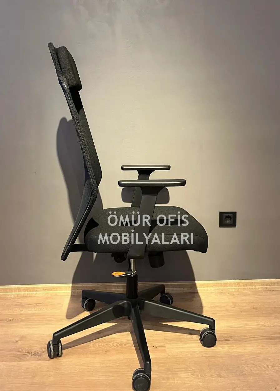 Zeno Başlıklı Makam Koltuğu