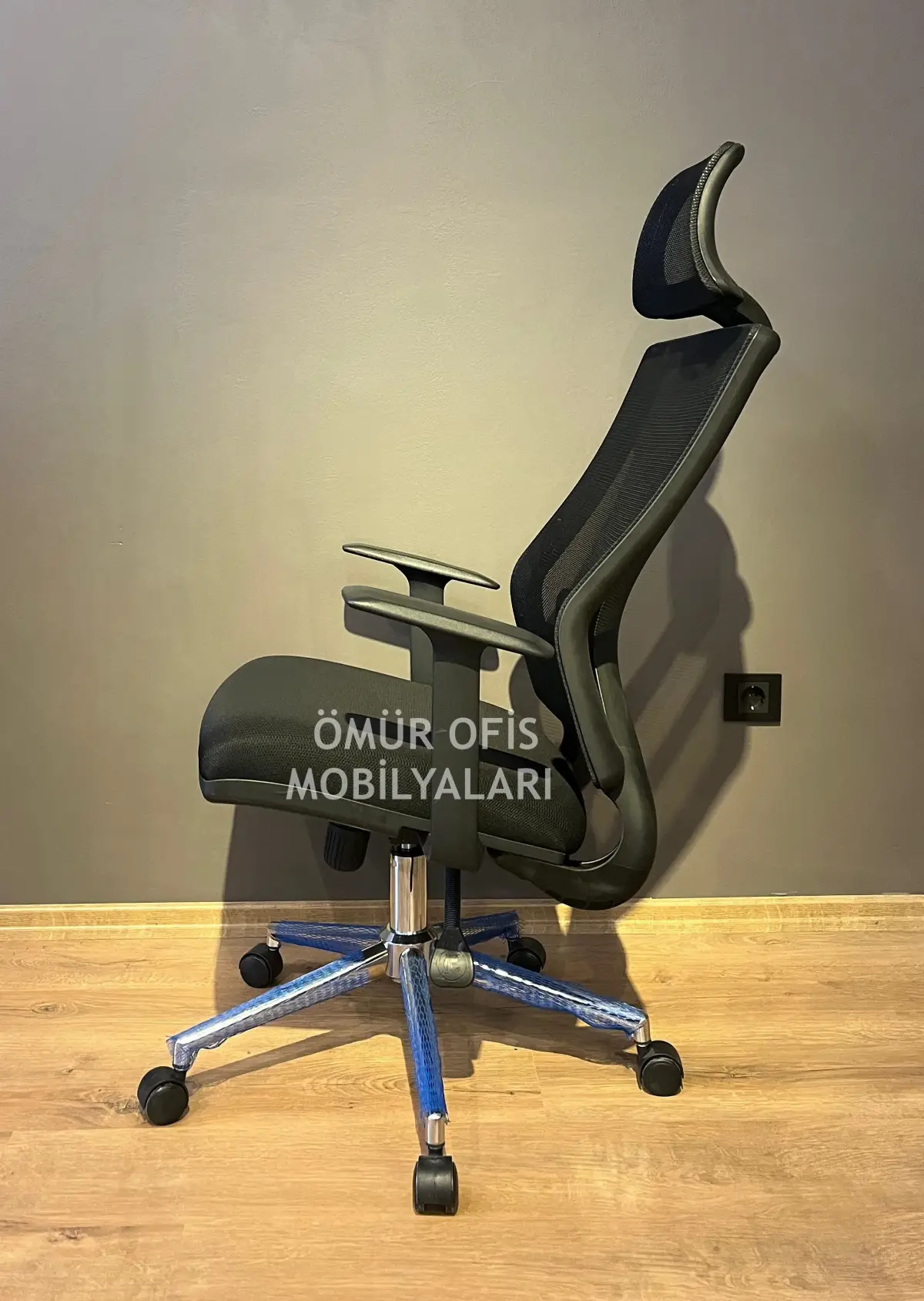 Alice Fileli Makam Koltuğu