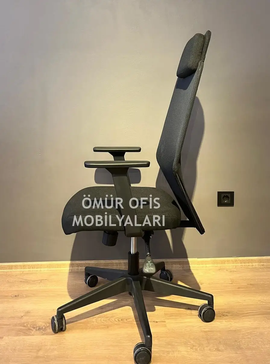 Zeno Başlıklı Makam Koltuğu