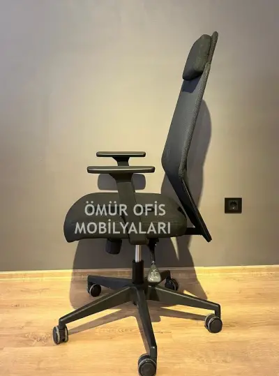 Zeno Başlıklı Makam Koltuğu