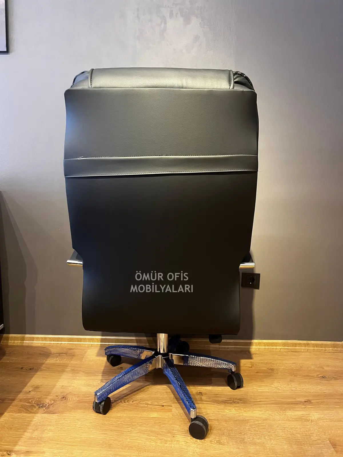 Senatör Makam Koltuğu