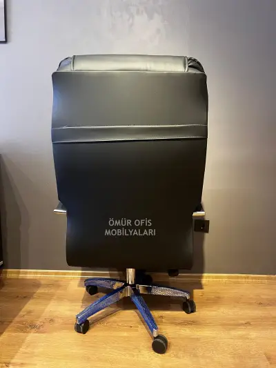 Senatör Makam Koltuğu
