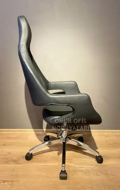 Jaguar Makam Koltuğu