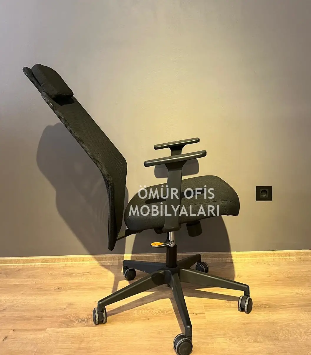 Zeno Başlıklı Makam Koltuğu