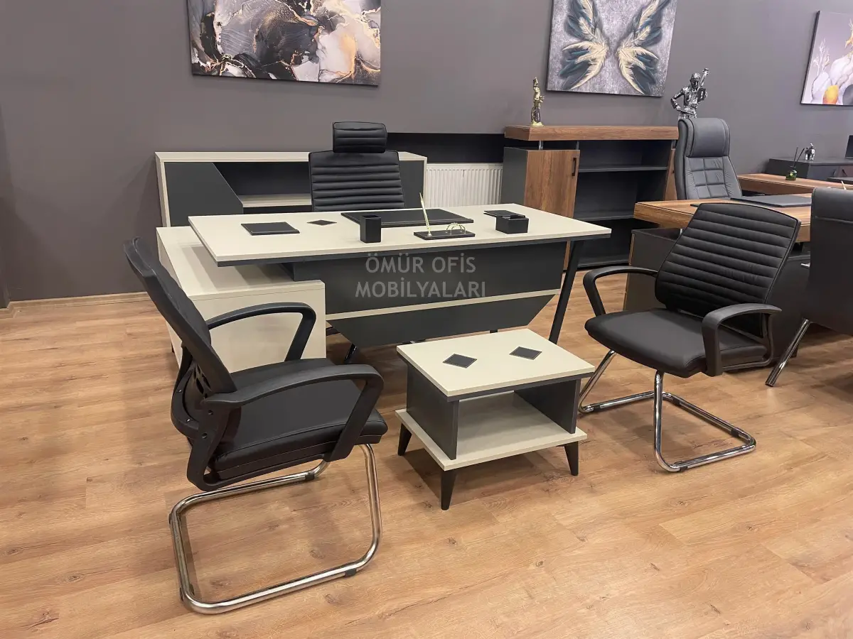 Maxi Makam Takımı + Petek Koltuk Takımı