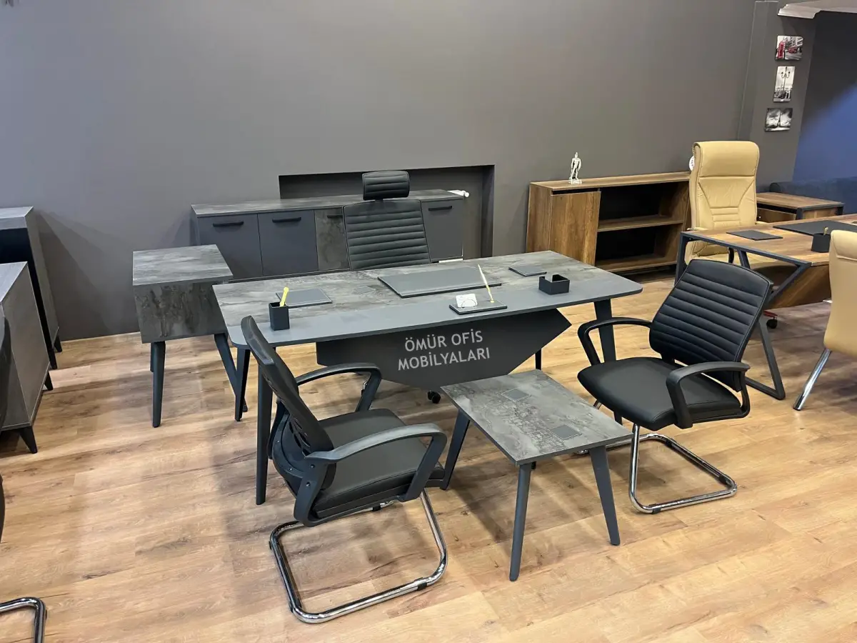 İroni Makam Takımı + Petek Deri Koltuk Takımı