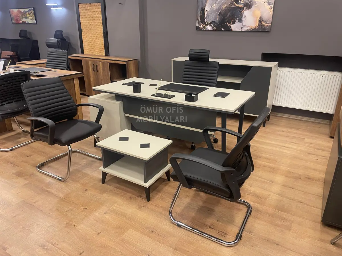 Maxi Makam Takımı + Petek Koltuk Takımı