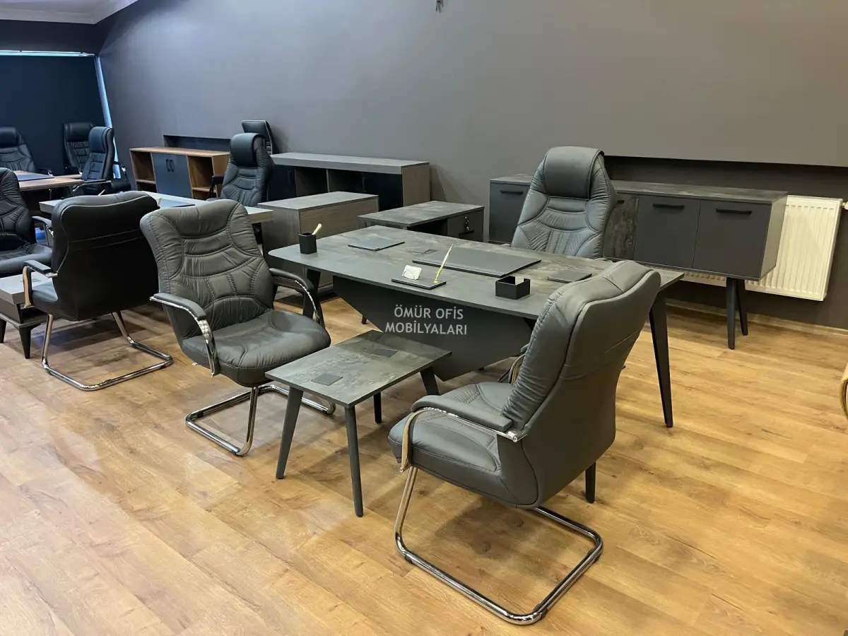 İroni Makam Takımı + Uzay Koltuk Takımı