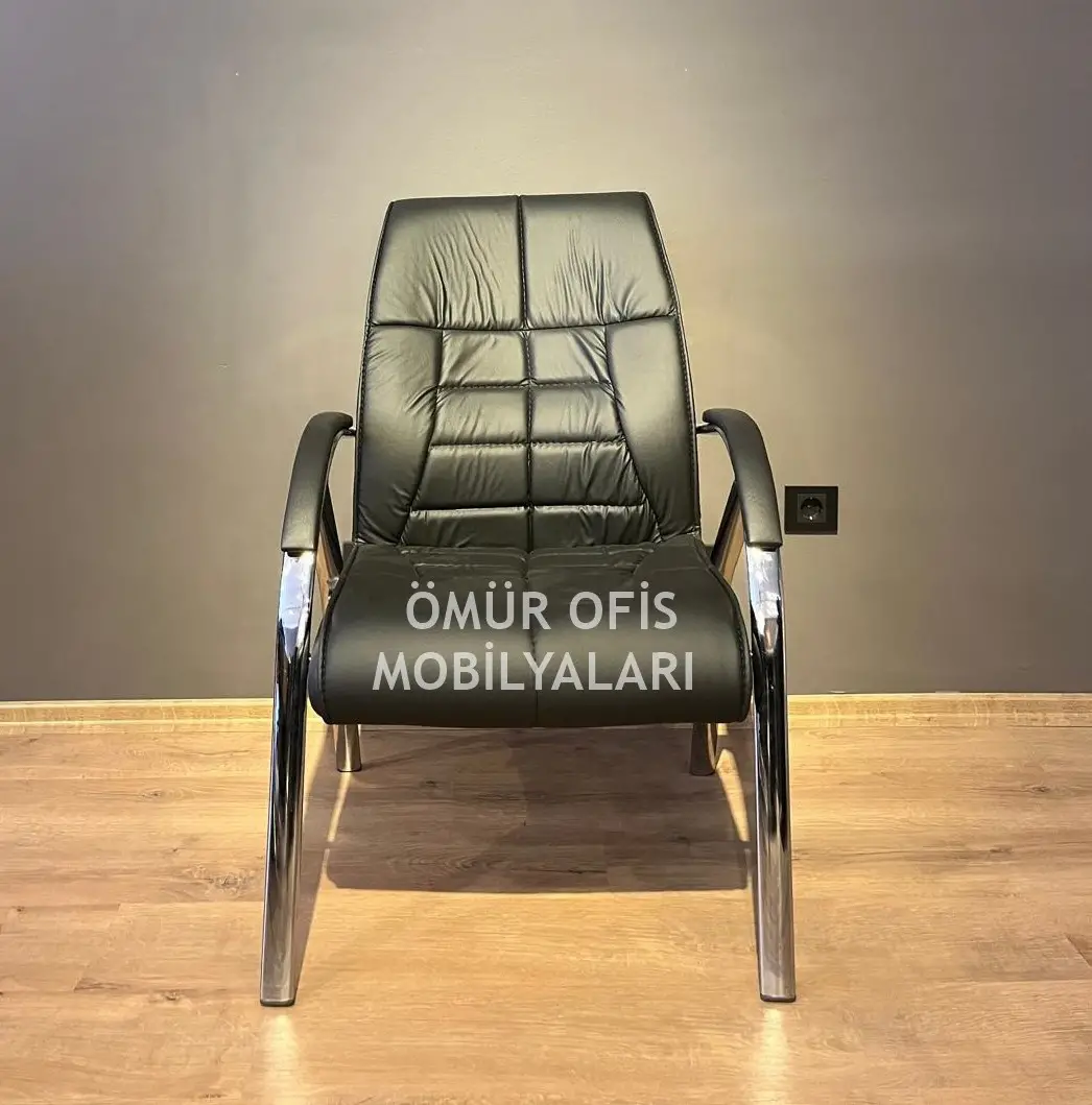 Demir Misafir Misafir Koltuğu