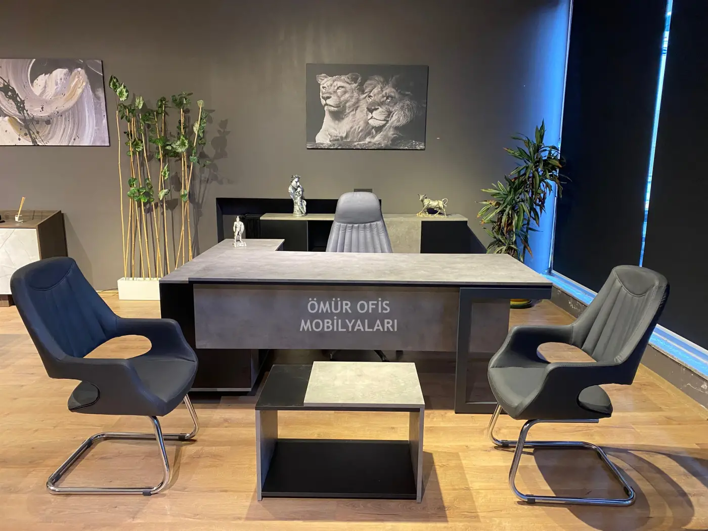 Athena Makam Takımı + Jaguar Koltuk Takımı