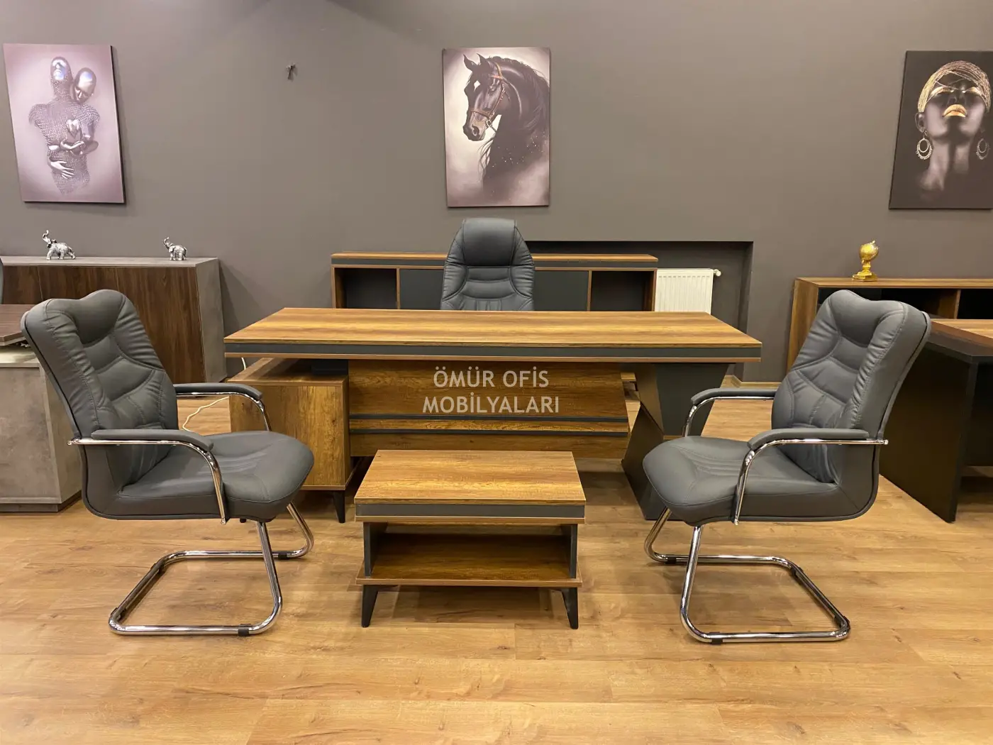 Orion  Makam Takımı + Uzay Koltuk Takımı