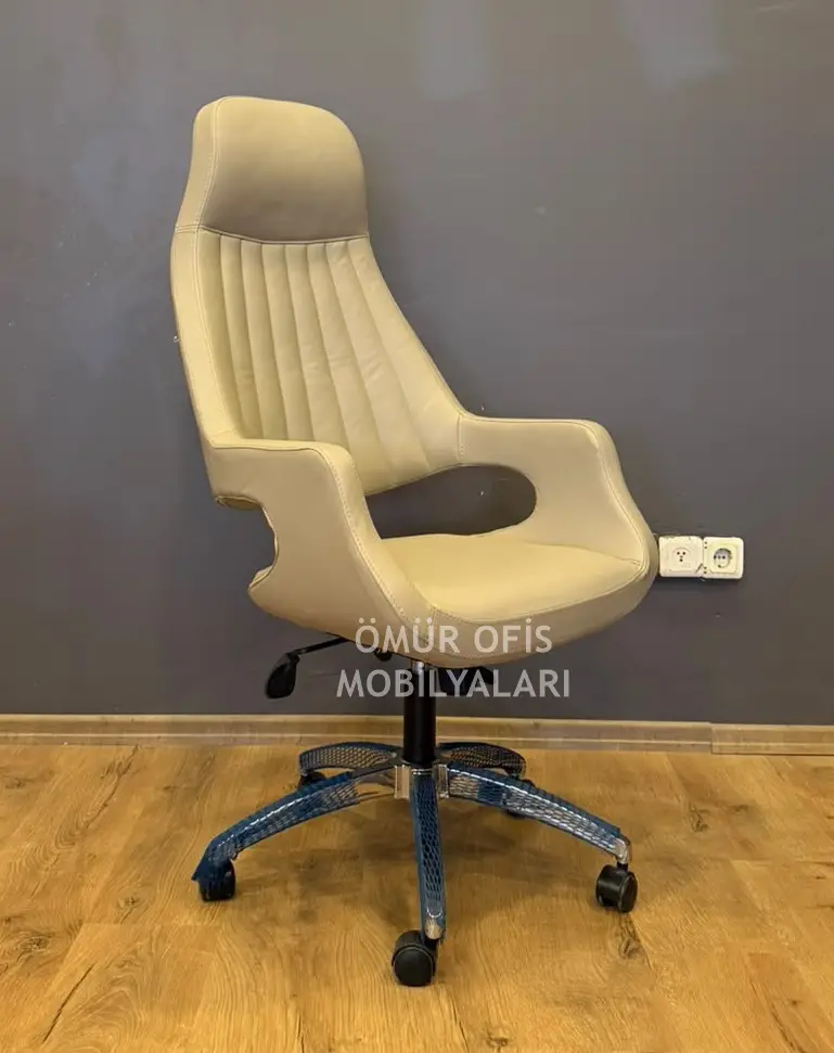 Jaguar Makam Koltuğu