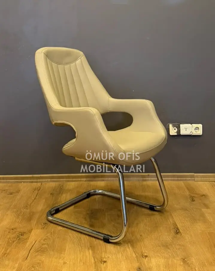 Jaguar Misafir Koltuğu